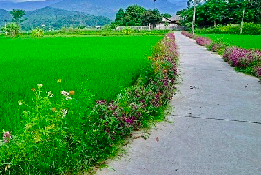 Nam Đàn (Nghệ An): Xây dựng huyện Nông thôn mới kiểu mẫu theo hướng phát triển văn hoá gắn với du lịch