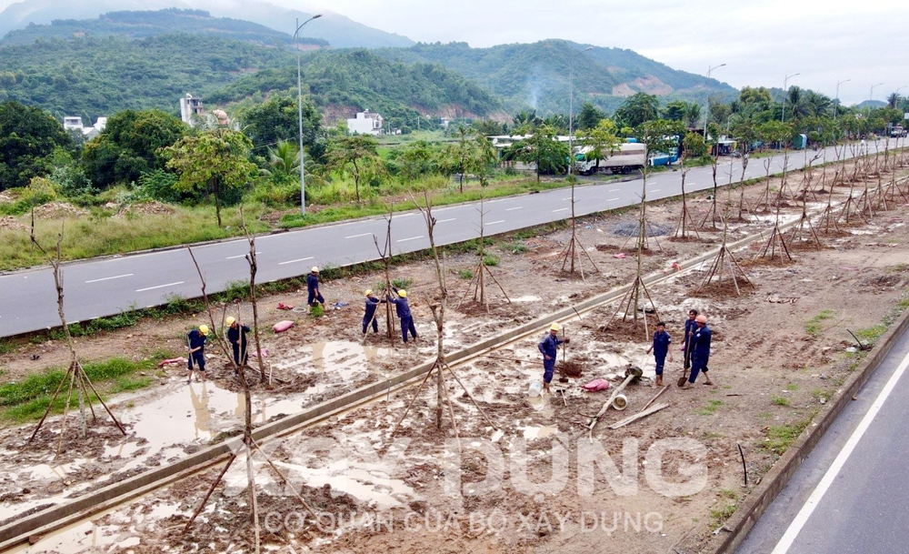 Khánh Hòa: Dự án trồng cây xanh đường Võ Nguyên Giáp “xin” thêm tiền để điều chỉnh thiết kế