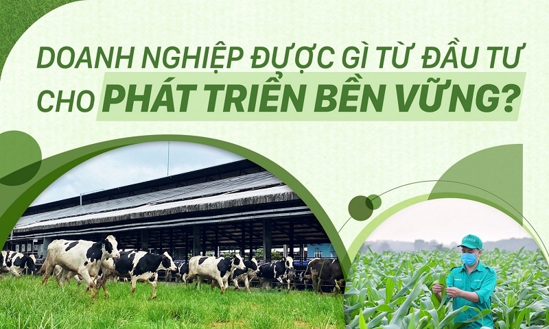 Doanh nghiệp được gì từ đầu tư cho phát triển bền vững?