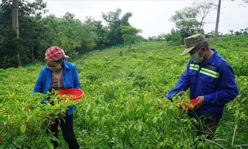 Lào Cai: Xây dựng nông thôn mới – Thách thức và khó khăn