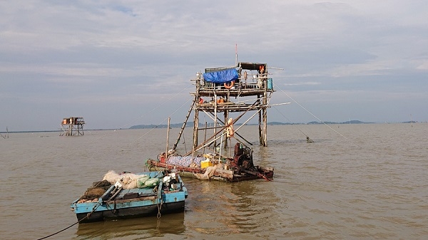 Tiên Lãng (Hải Phòng): Tiến hành cưỡng chế các hộ nuôi ngao trái phép tại khu vực biển vào ngày 13/12