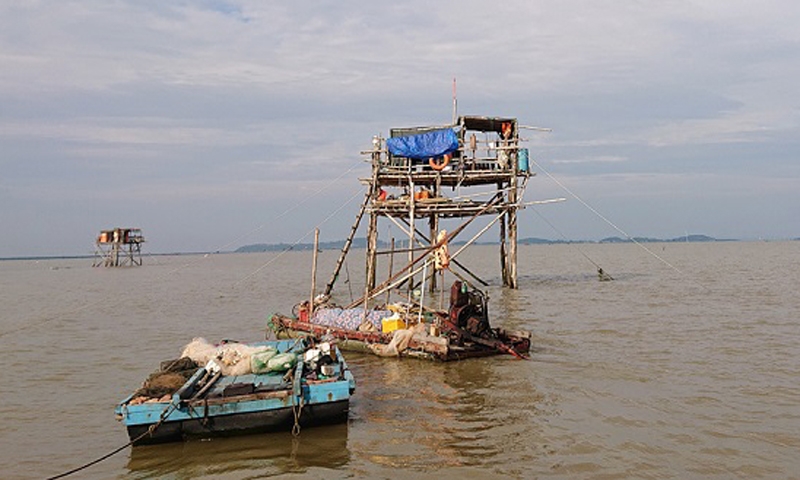 Tiên Lãng (Hải Phòng): Tiến hành cưỡng chế các hộ nuôi ngao trái phép tại khu vực biển vào ngày 13/12