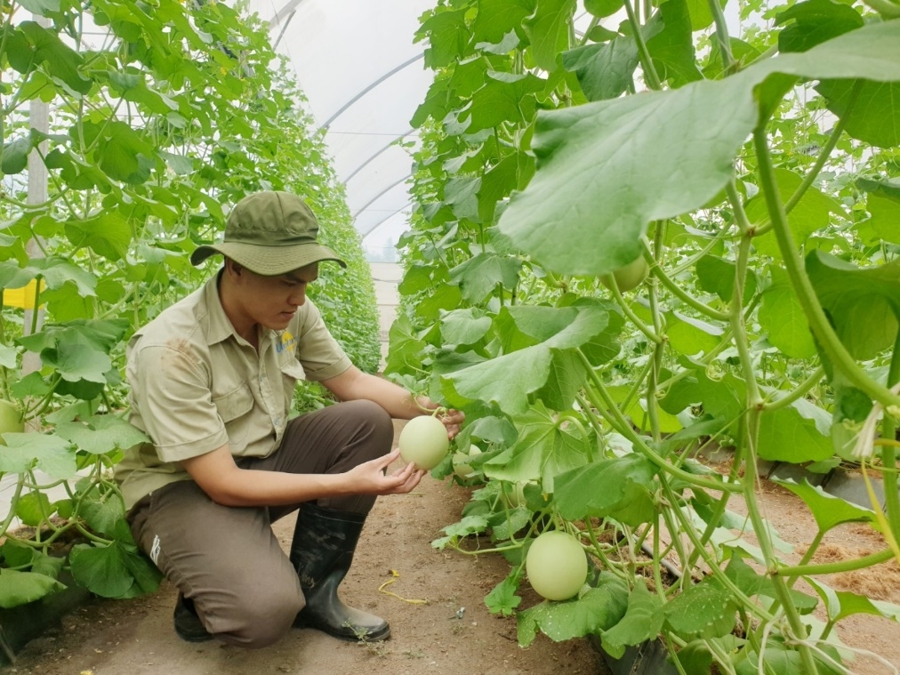 Bình Dương: Làng thông minh – Sự cần thiết cho phong trào xây dựng Nông thôn mới