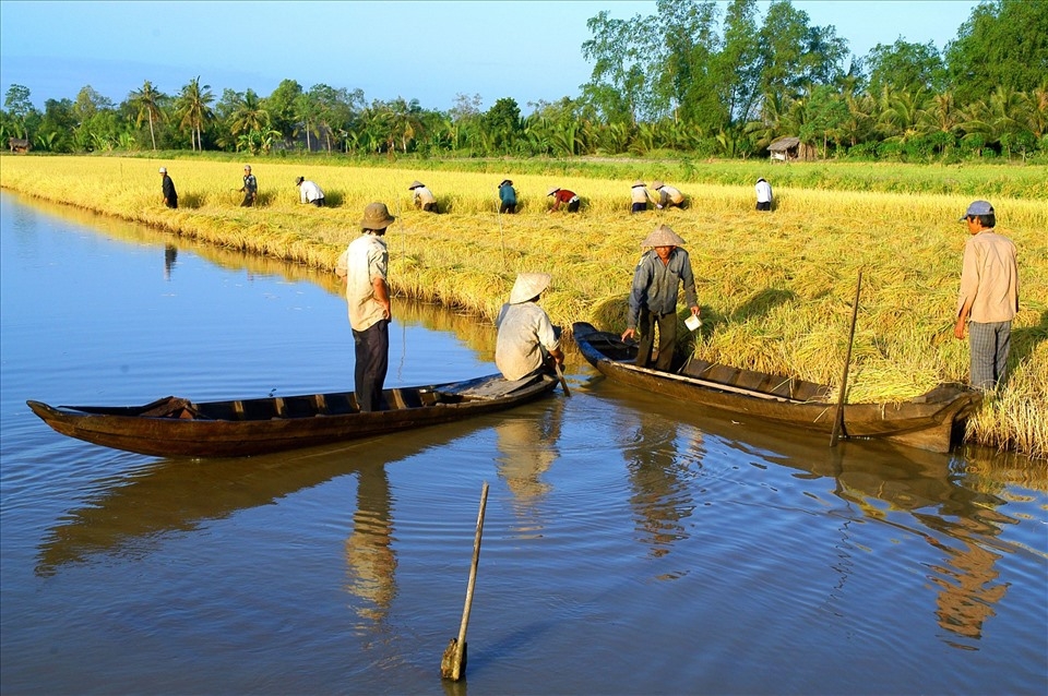 Bạc Liêu: Nỗ lực về đích Nông thôn mới vào năm 2025