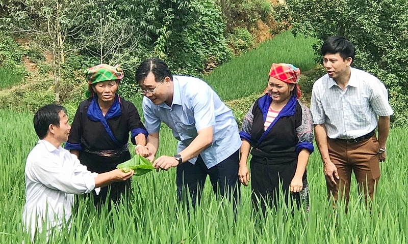 Mù Cang Chải, Yên Bái: Những câu chuyện phát triển du lịch xanh - bền vững