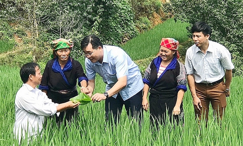 Yên Bái: Thành tựu nổi bật trong công tác đổi mới toàn diện