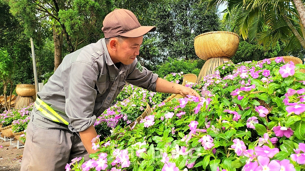 Đáng yêu như “Mèo Quảng Ngãi”