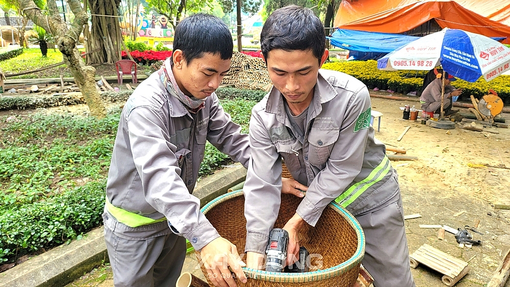 Đáng yêu như “Mèo Quảng Ngãi”