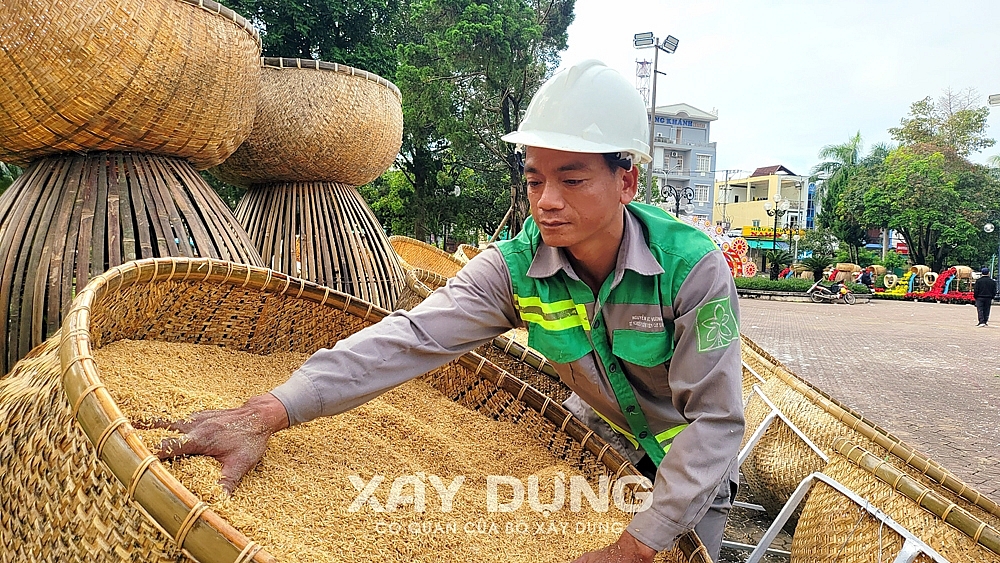 Đáng yêu như “Mèo Quảng Ngãi”