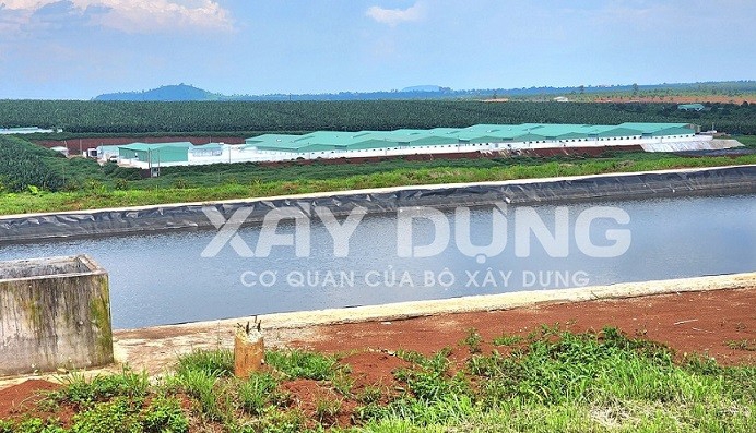 Huyện Đắk Đoa (Gia Lai): Trại chăn nuôi lợn hơn 100 tỷ không phép khi nào tháo dỡ?