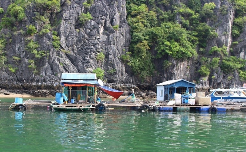 Hải Phòng: Hoàn thành việc tháo dỡ lồng bè trên các vịnh thuộc quần đảo Cát Bà trước ngày 01/7/2023