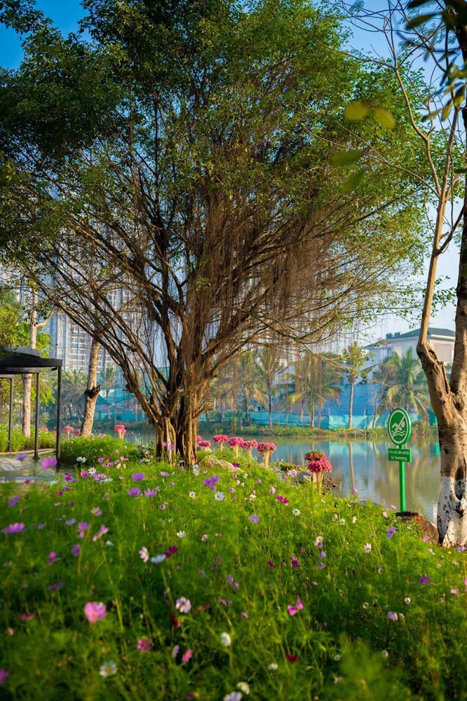 Ecopark đưa vào hoạt động cung đường dạo bộ đẹp nhất miền Bắc