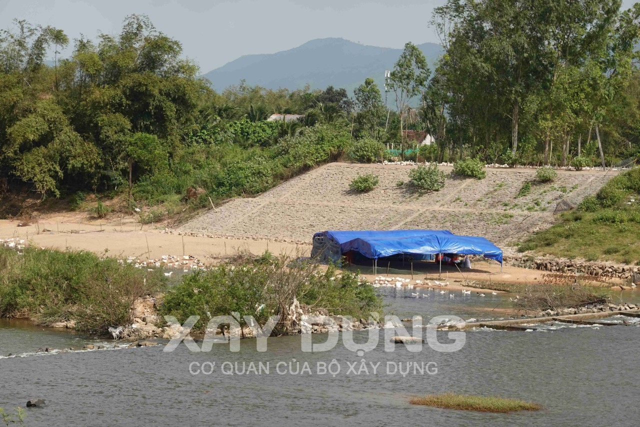 Bình Định: Sạt lở bờ sông La Tinh là do người dân nuôi vịt chứ không phải do khai thai thác cát