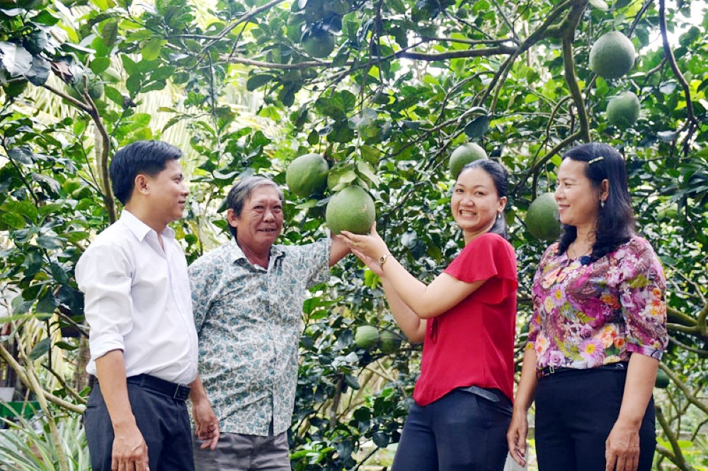 Thạnh Phú (Bến Tre): Khởi sắc sau hơn 10 năm xây dựng nông thôn mới