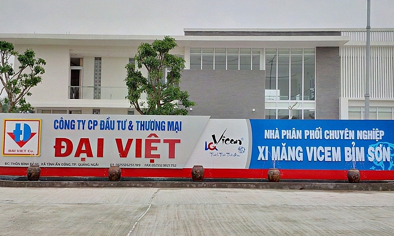 Công ty xi măng Đại Việt đã hoạt động ra sao?