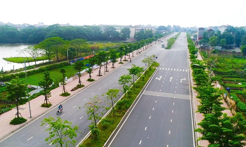 Hà Nội sẽ trồng mới 500.000 cây xanh tạo cảnh quan đô thị