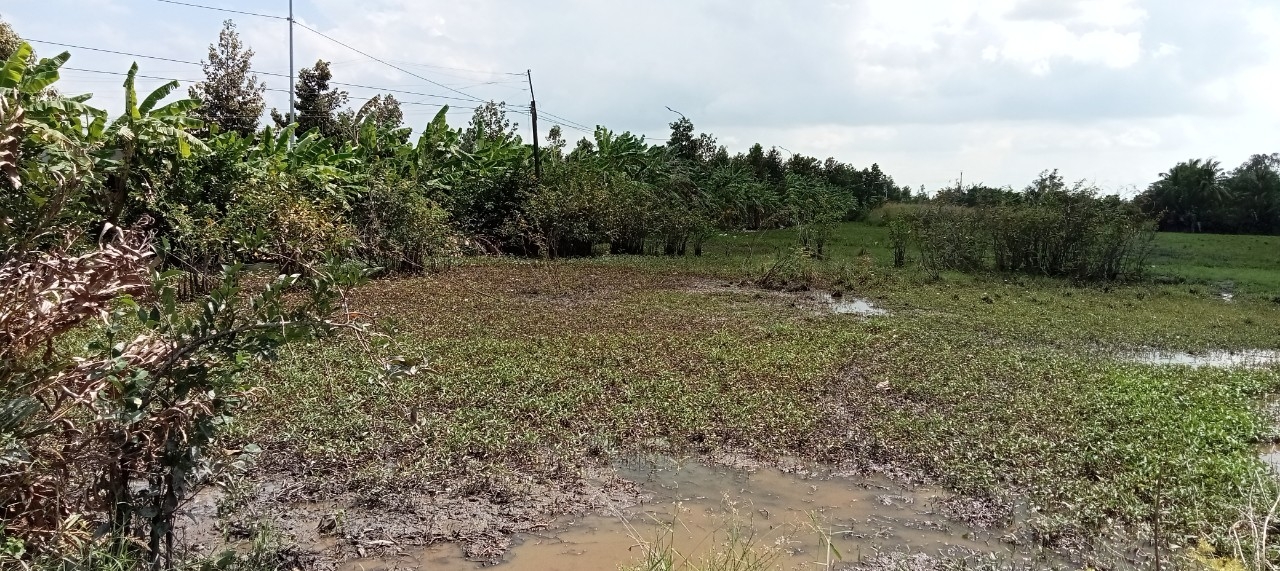 Sóc Trăng: Vì sao nhà đầu tư trả lại chủ trương đầu tư dự án xây dựng Kho trung chuyển xăng dầu tại Ngã Năm?