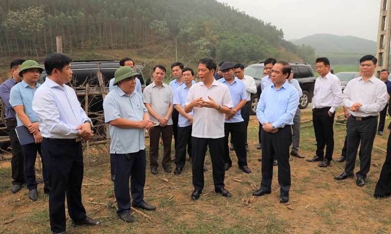 Xây dựng Tuyên Quang trở thành trung tâm sản xuất chế biến gỗ của vùng Trung du và miền núi Bắc Bộ