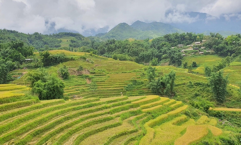 Lào Cai: Phát triển khu du lịch quốc gia Sa Pa đạt tầm cỡ quốc tế