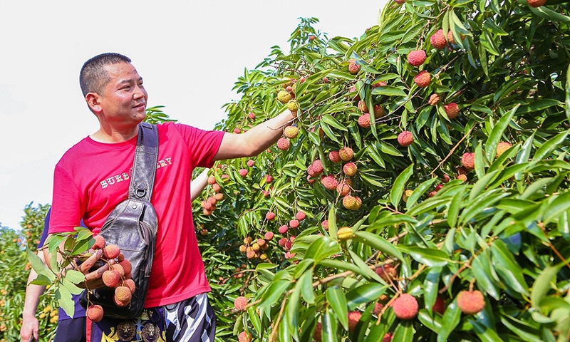 Bắc Giang: Chuẩn bị kỹ lưỡng cho công tác sản xuất, xúc tiến và tiêu thụ vải thiều