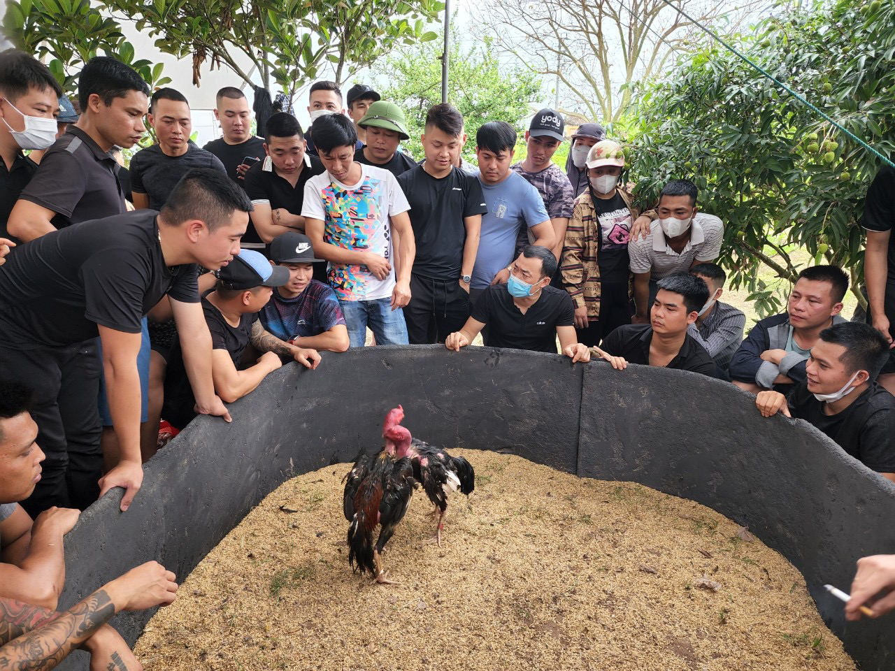 Giao Thuỷ (Nam Định): Tưng bừng lễ hội truyền thống đình, chùa Duyên Thọ xã Giao Nhân