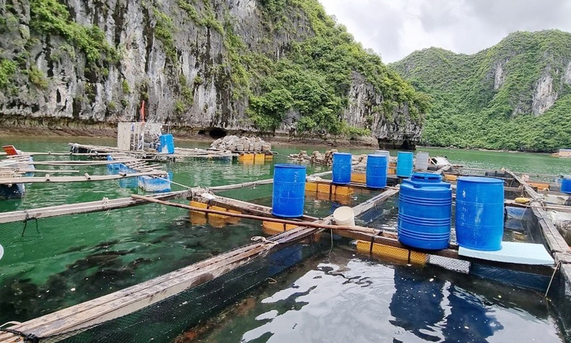 Cát Hải (Hải Phòng): Tập trung hoàn thành việc tháo dỡ các cơ sở nuôi trồng thủy sản trong tháng 6/2023