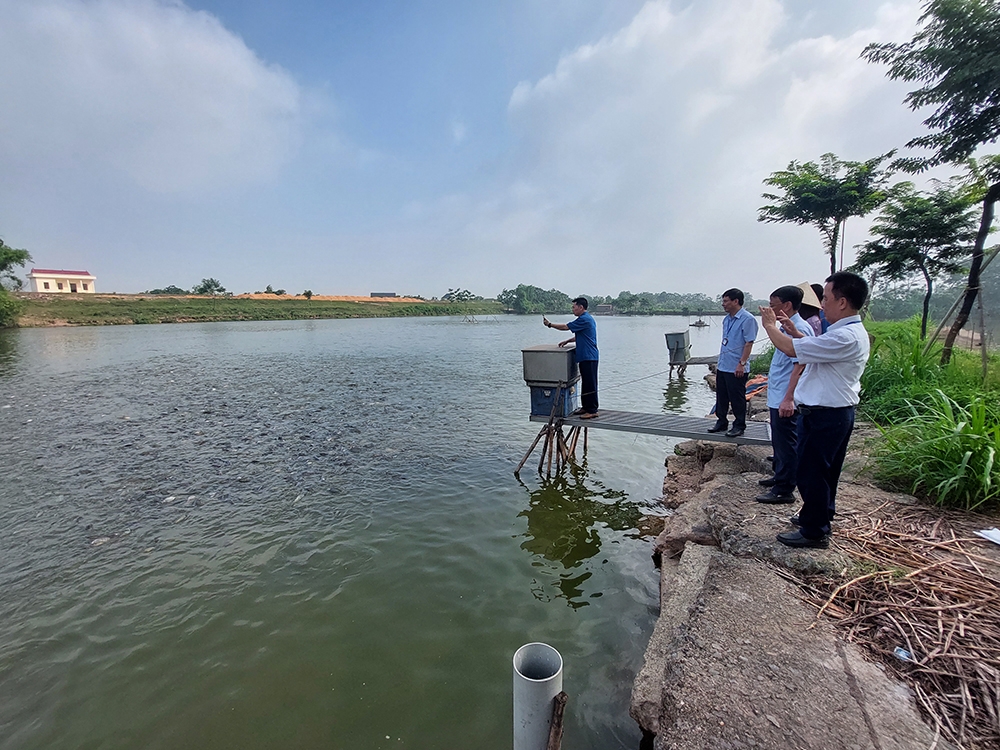 Vĩnh Phúc: Đẩy mạnh các mô hình phát triển kinh tế trong xây dựng Làng văn hóa kiểu mẫu