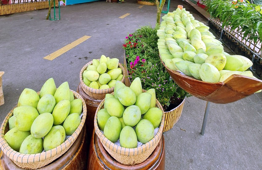 Nhiều triển vọng cơ hội mới tại Hội nghị Hợp tác Thương mại và Đầu tư giữa Ấn Độ và tỉnh Đồng Tháp năm 2023