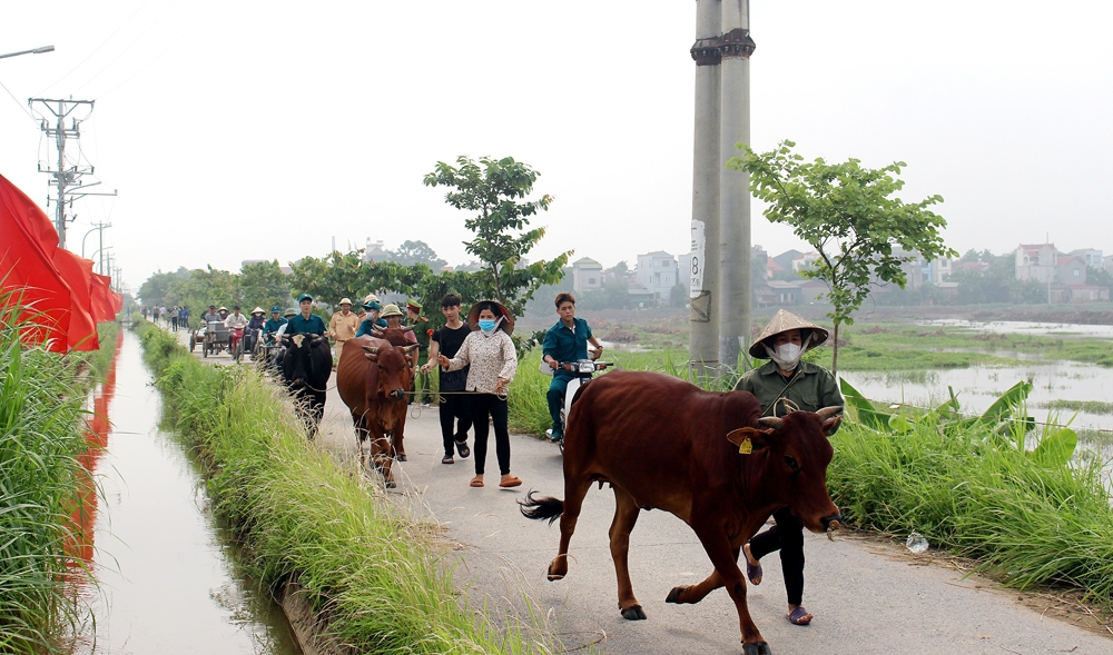 Vĩnh Phúc: Diễn tập ứng phó bão, lụt và tìm kiếm cứu nạn năm 2023 tại huyện Vĩnh Tường