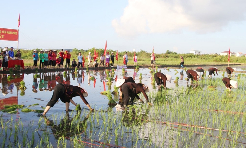 Quảng Yên (Quảng Ninh): Lễ hội Xuống đồng