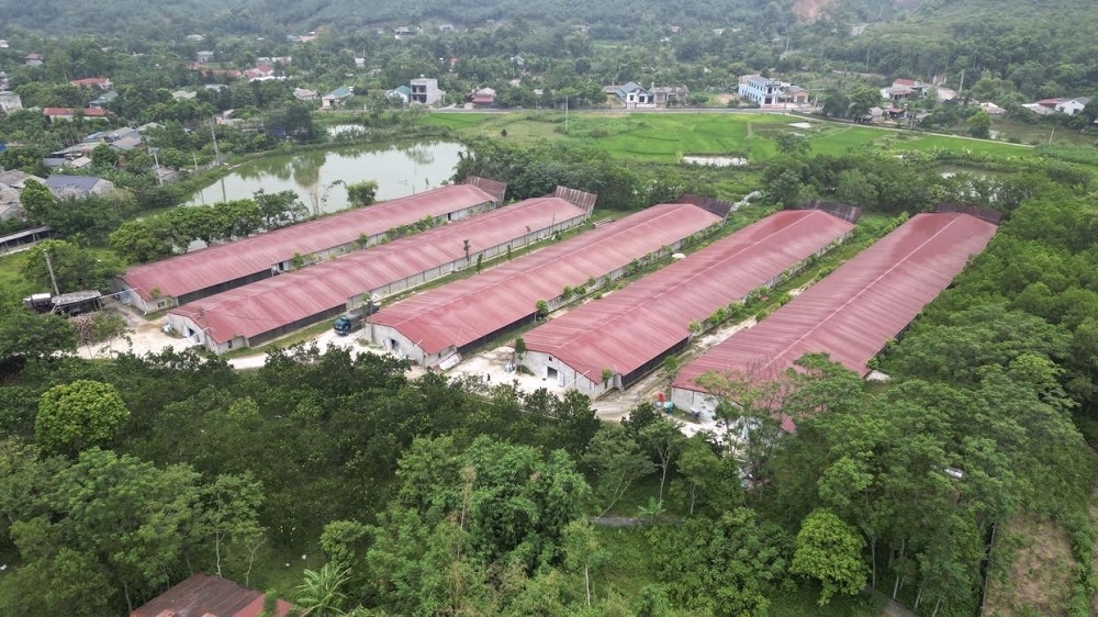 Yên Lập (Phú Thọ): Nỗi “thống khổ” của người dân vì trang trại gà gây ô nhiễm