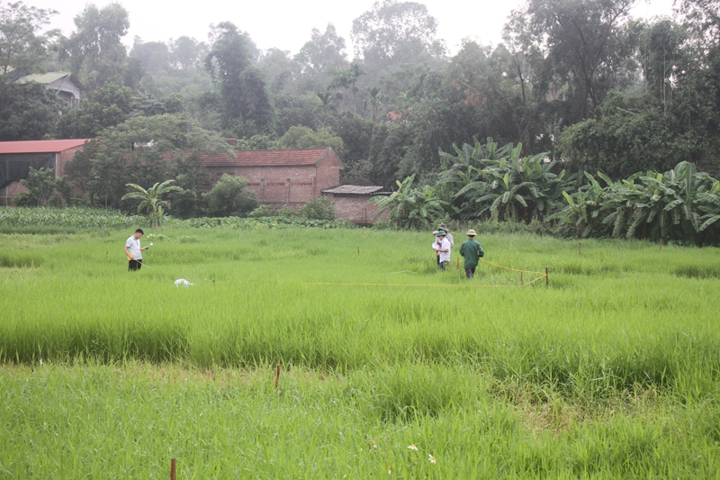 Lập Thạch (Vĩnh Phúc): Cưỡng chế kiểm đếm bắt buộc đối với 4 hộ dân tại xã Tiên Lữ