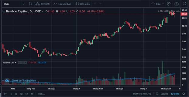 Nhận tín hiệu hồi phục tích cực trong hoạt động sản xuất kinh doanh, Bamboo Capital (BCG) vẫn chịu áp lực lớn từ lãi trái phiếu