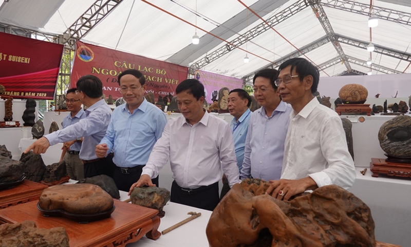 Bình Định: Khai mạc Triển lãm và Hội thi sinh vật cảnh khu vực miền Trung – Tây Nguyên mở rộng năm 2023