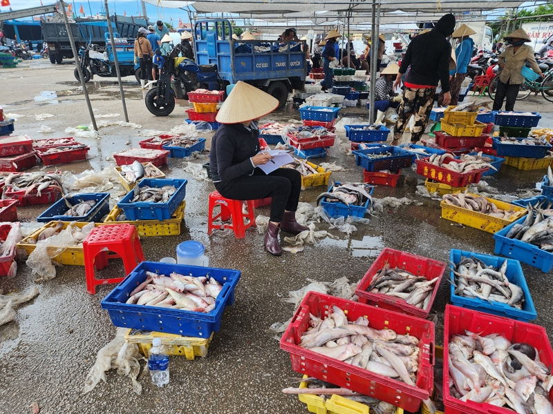 Nghi Sơn (Thanh Hóa): Cảng cá Lạch Bạng bị bồi lắng nghiêm trọng, ảnh hưởng đến đời sống của hàng nghìn ngư dân