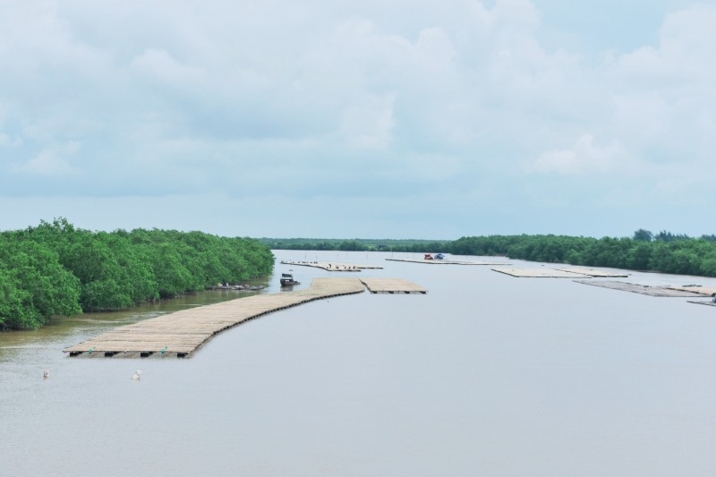 Tận dụng lợi thế, làm giàu từ biển tại Thái Bình: Không để thông tin sai lệch cản trở sự phát triển