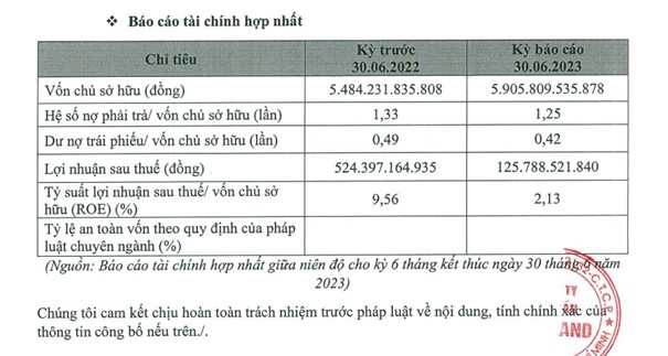 BCG Land: Hoạt động kinh doanh bán niên 2023 giảm sút 76% so với cùng kỳ, bị hải quan “tuýt còi” trước thềm cổ phiếu lên sàn