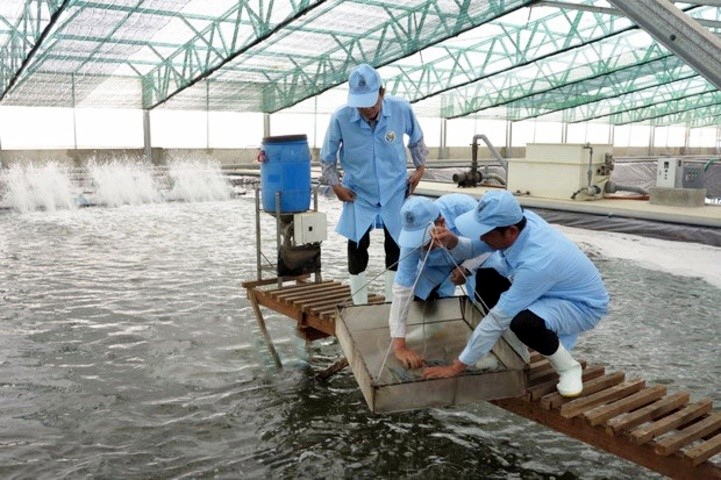 Bình Định kêu gọi đầu tư dự án Khu nông nghiệp ứng dụng công nghệ cao phát triển tôm xã Mỹ Thành