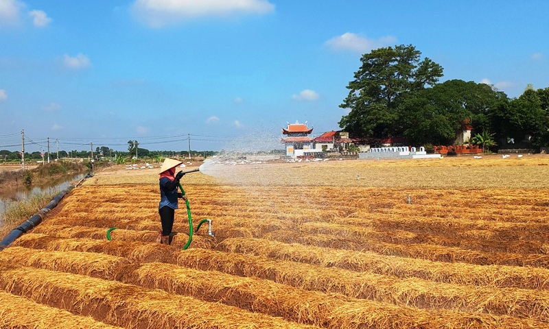 Cẩm Giàng (Hải Dương): Hướng tới huyện Nông thôn mới nâng cao