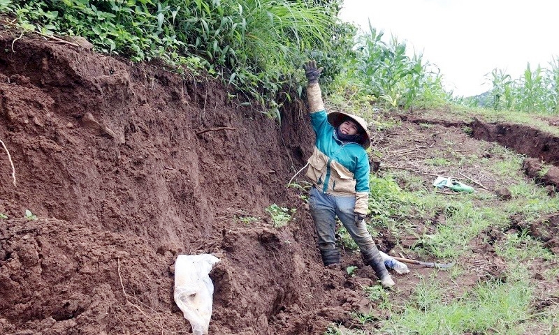 Đắk Nông: Xuất hiện nhiều điểm sụt lún sâu trên 2m tại xã Nhân Cơ