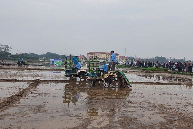 Vĩnh Phúc: Ứng dụng khoa học công nghệ tiến tiến hiện đại hướng tới phát triển nền nông nghiệp xanh