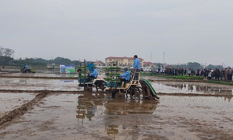 Vĩnh Phúc: Ứng dụng khoa học công nghệ tiến tiến hiện đại hướng tới phát triển nền nông nghiệp xanh