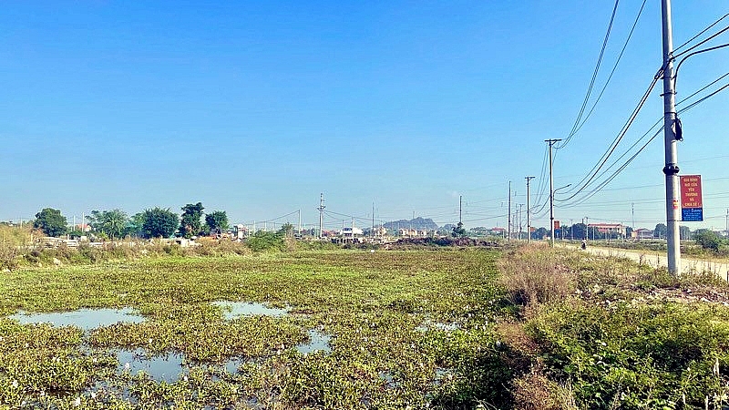 Ninh Bình: Đấu giá quyền sử dụng đất rơi vào tình trạng “ế ẩm”