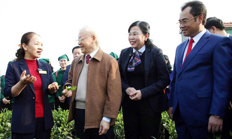 Thái Nguyên: Đơn giản hóa thủ tục hành chính, tạo điều kiện cho hợp tác xã tham gia các chương trình, dự án