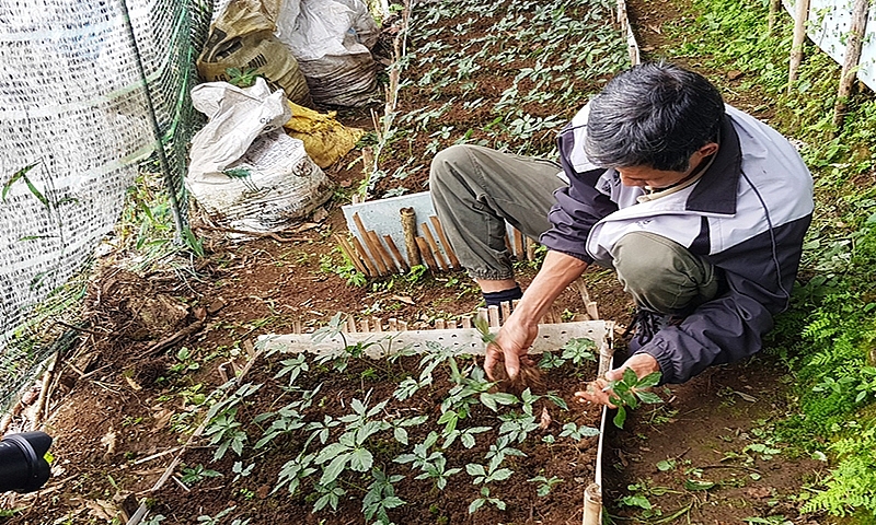 Quảng Nam: Xây dựng nông thôn mới chất lượng tại thủ phủ sâm Ngọc Linh- Nam Trà My