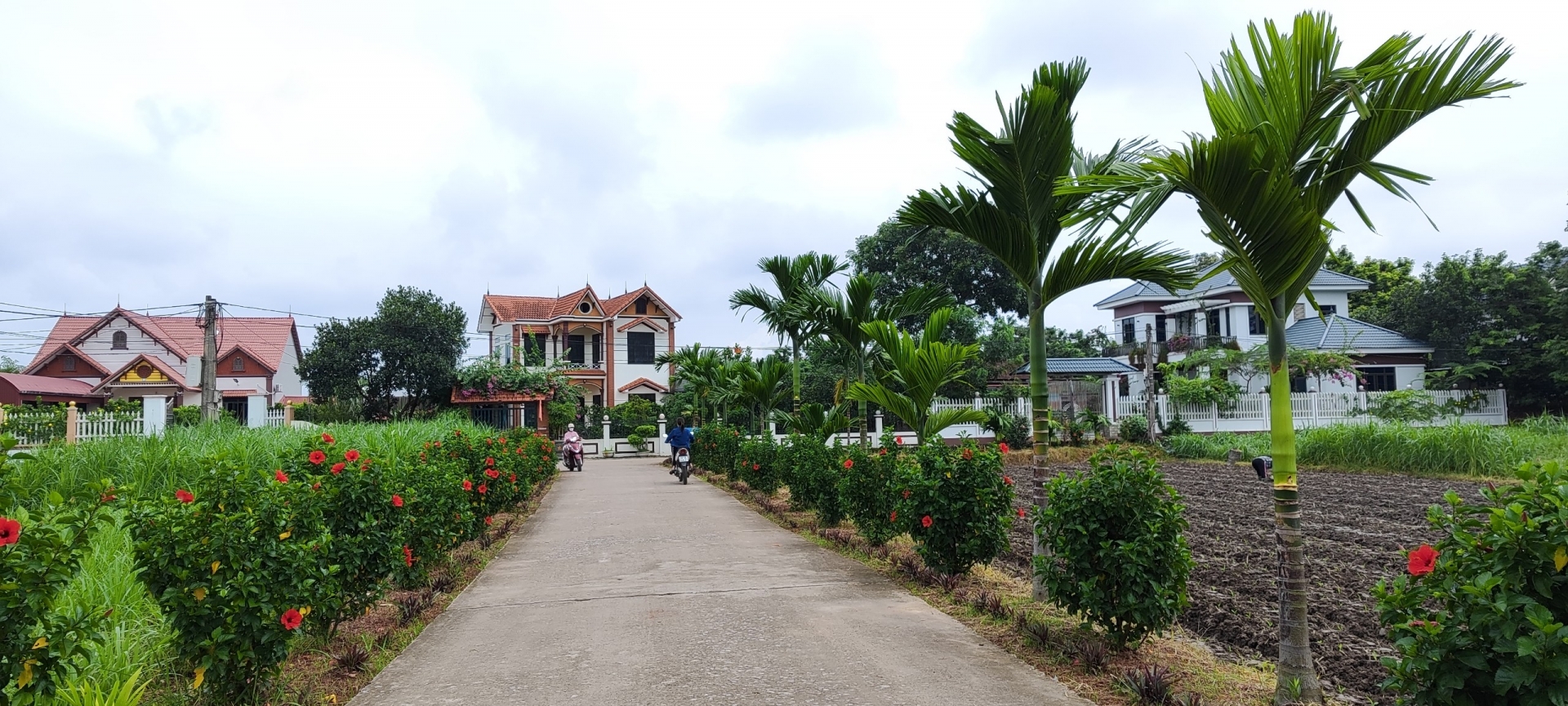 Thái Nguyên: Duy trì và nâng cao chất lượng các tiêu chí đã đạt chuẩn Nông thôn mới