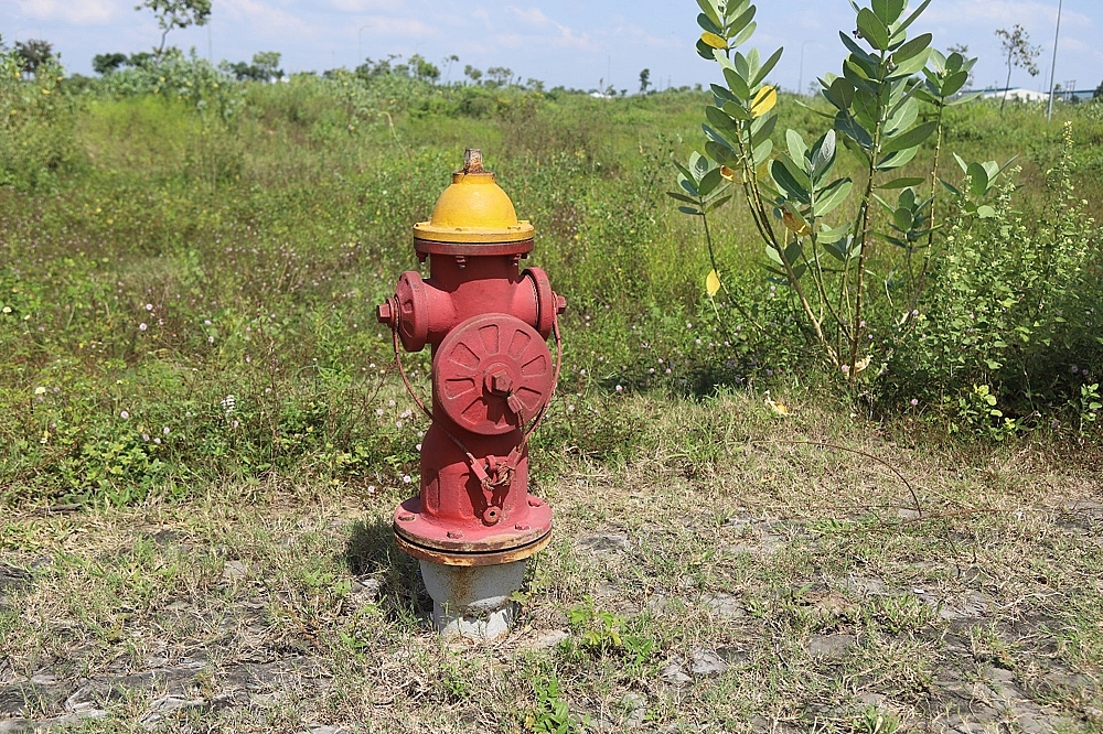 Bình Dương: Cảnh hoang tàn tại dự án Khu dân cư Nam Tân Uyên