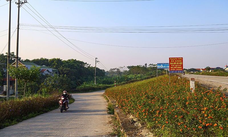 Vĩnh Tường (Vĩnh Phúc): Những tuyến đê “nở hoa” trong xây dựng nông thôn mới nâng cao