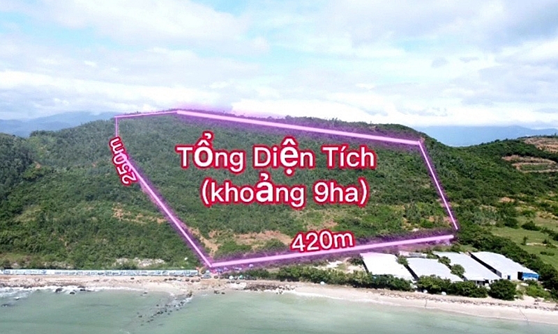 Khánh Hoà: Đất dân bỗng dưng thành đất công do phường quản lý