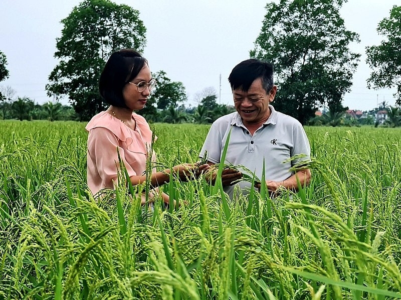 Tứ Kỳ (Hải Dương): Nhiều xã khó về đích Nông thôn mới nâng cao